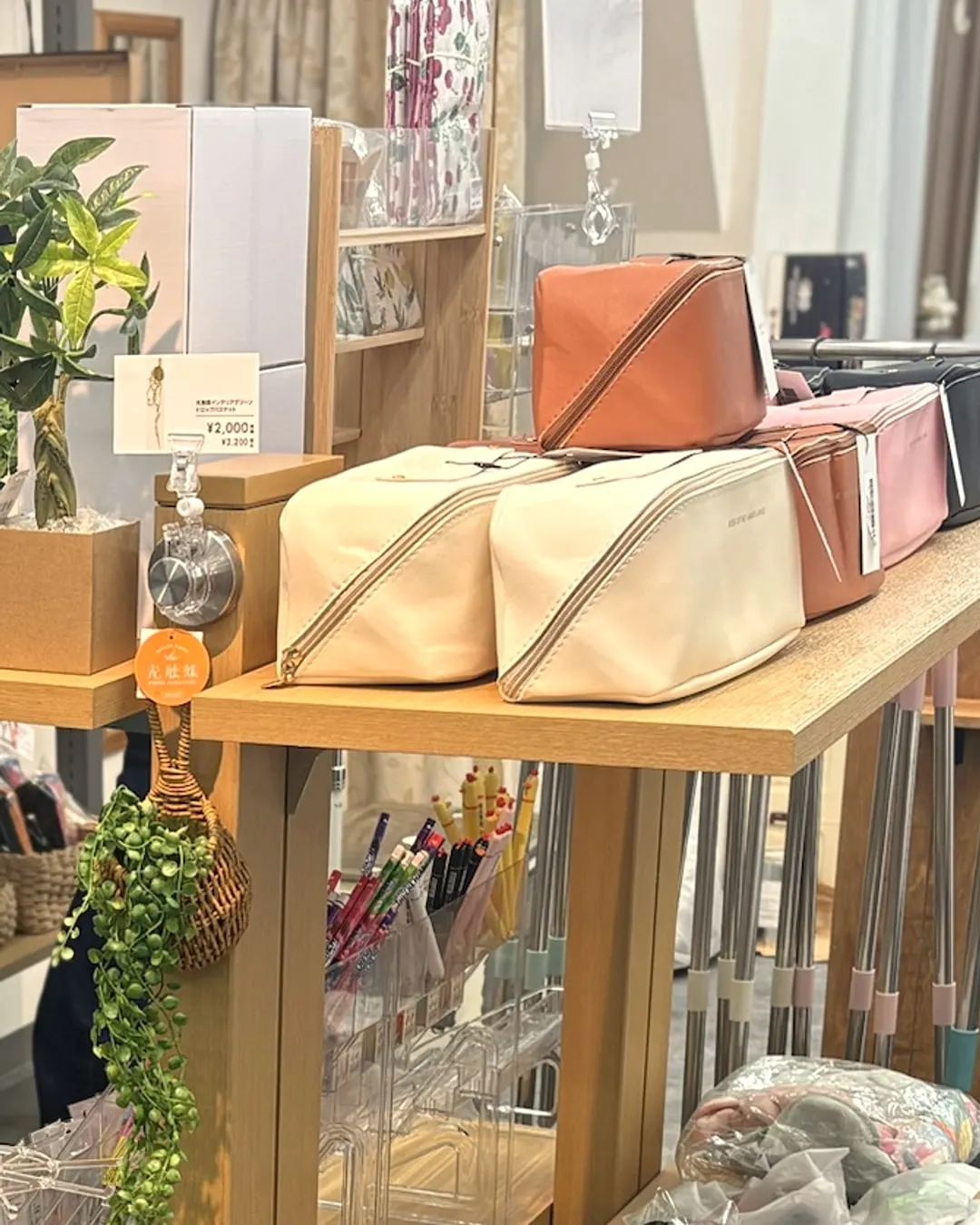 中央の台に並ぶポーチと観葉植物